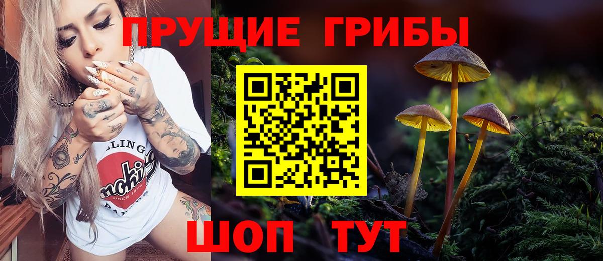 Псилоцибиновые грибы GOLDEN TEACHER  Галлюциногенные грибы GOLDEN TEACHER  Вход с VPN  Великие Луки 